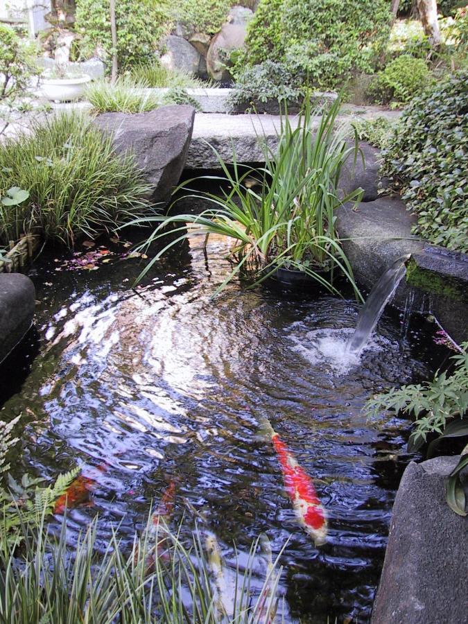 ホテル 旅館 松島 横浜市 エクステリア 写真